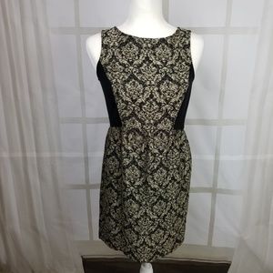 Ann Taylor Loft Dress